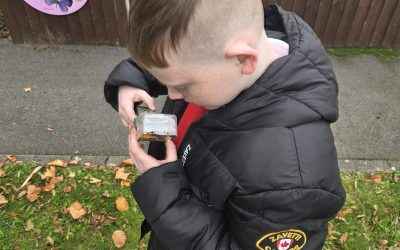 Magnification!