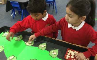 Reception – Traditional Tales