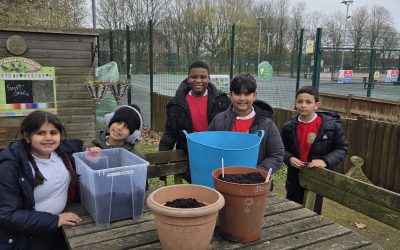 Y4 Forest Schools- Potato Experiment